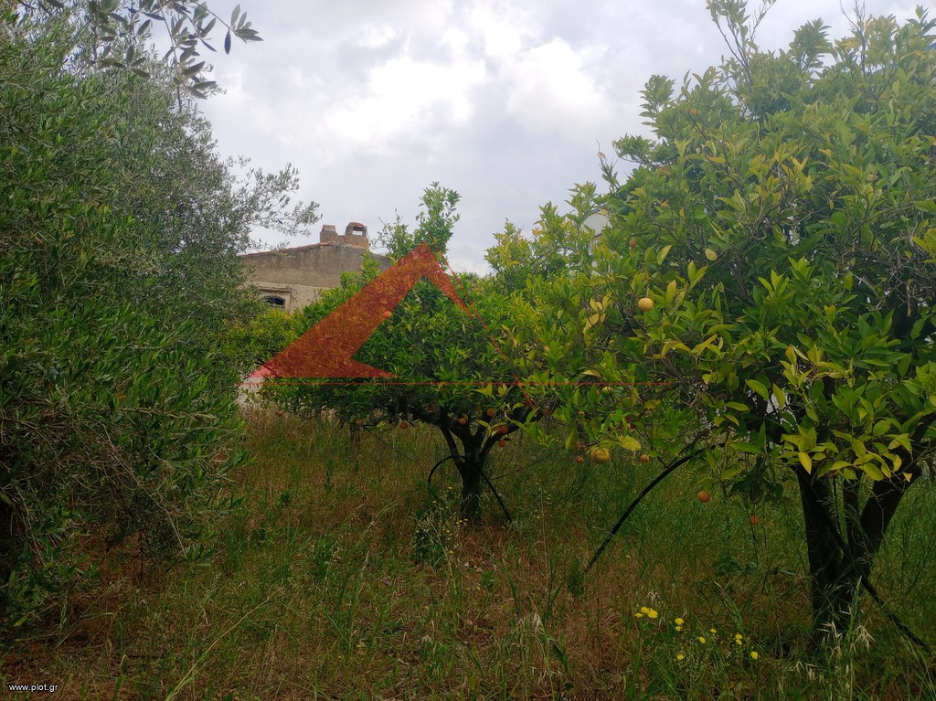 Μονοκατοικία 175 τ.μ. πρός πώληση, Ν. Ρεθύμνου, Γεροπόταμος
