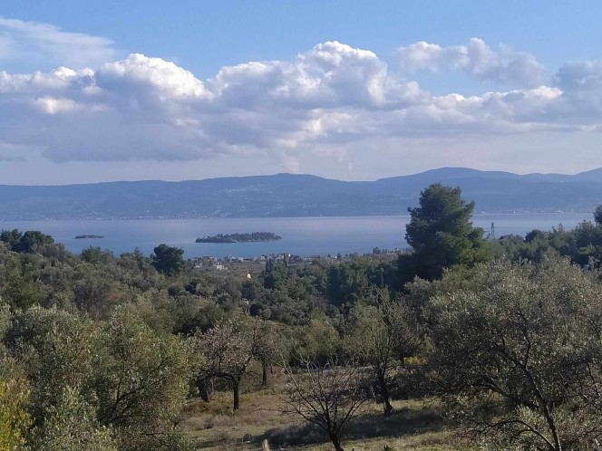 Μεζονέτα 194 τ.μ. πρός πώληση, Εύβοια, Ερέτρια