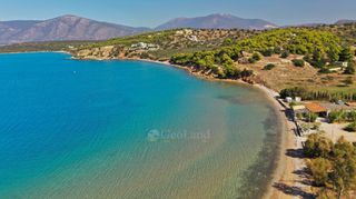 Αγροτεμάχια 6.430 τ.μ. για πώληση