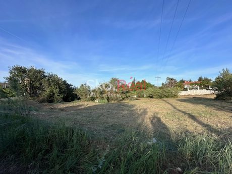 Parcel 3.589sqm for sale-Thermaikos » Peraia