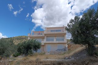 Βίλλα 450 τ.μ. για πώληση, Αργολίδα, Ερμιόνη-thumb-10