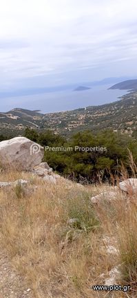 Οικόπεδο 6.006 τ.μ. για πώληση, Αργολίδα, Κρανίδι