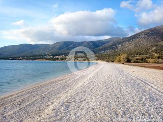 Οικόπεδο 6.006 τ.μ. για πώληση