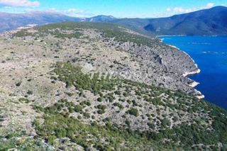 Οικόπεδο 1.000.000 τ.μ. για πώληση, Αργολίδα, Ασίνη-thumb-5