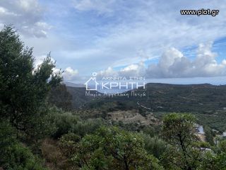 Οικόπεδο 7.700 τ.μ. για πώληση, Ν. Λασιθίου, Ιεράπετρα-thumb-3