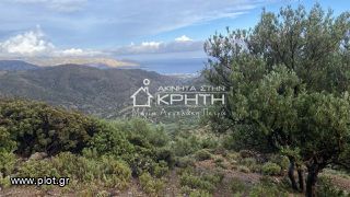 Οικόπεδο 7.700 τ.μ. για πώληση, Ν. Λασιθίου, Ιεράπετρα-thumb-4