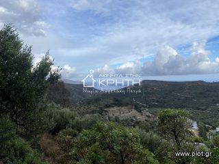 Οικόπεδο 7.700 τ.μ. για πώληση, Ν. Λασιθίου, Ιεράπετρα-thumb-5