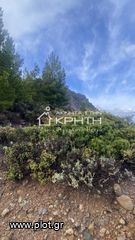 Οικόπεδο 7.700 τ.μ. για πώληση, Ν. Λασιθίου, Ιεράπετρα-thumb-6