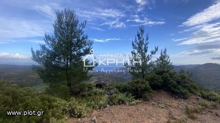 Οικόπεδο 7.700 τ.μ. για πώληση, Ν. Λασιθίου, Ιεράπετρα-thumb-7