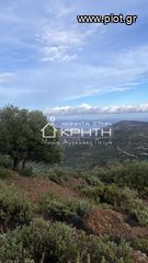 Οικόπεδο 7.700 τ.μ. για πώληση, Ν. Λασιθίου, Ιεράπετρα-thumb-9