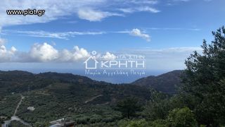 Οικόπεδο 7.700 τ.μ. για πώληση, Ν. Λασιθίου, Ιεράπετρα-thumb-10