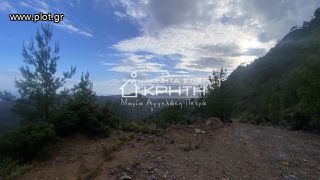 Οικόπεδο 7.700 τ.μ. για πώληση, Ν. Λασιθίου, Ιεράπετρα-thumb-11