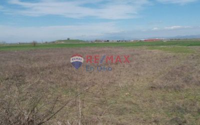 Parcel 37.000sqm for sale-Orchomenos