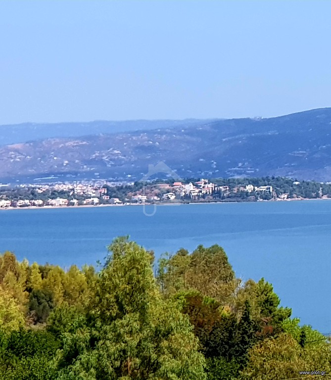 Οικόπεδο 593 τ.μ. πρός πώληση, Μαγνησία, Βόλος