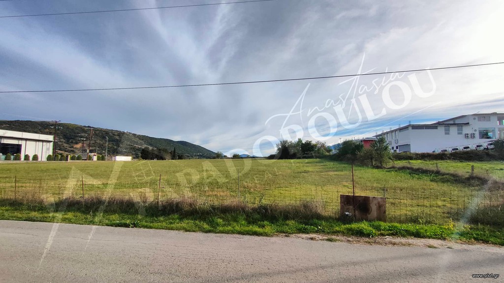 Αγροτεμάχια 12.000 τ.μ. πρός πώληση, Ν. Ιωαννίνων, Ανατολή