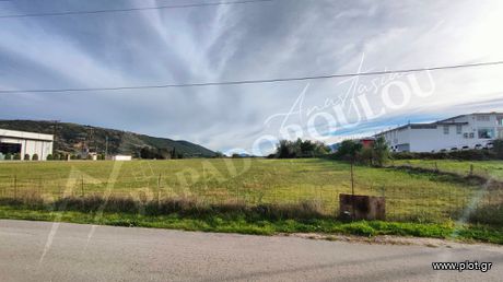 Αγροτεμάχια 12.000τ.μ. για πώληση-Ανατολή » Νεοκαισάρεια