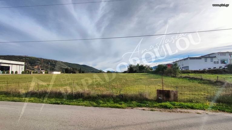 Αγροτεμάχια 12.000 τ.μ. για πώληση, Ν. Ιωαννίνων, Ανατολή