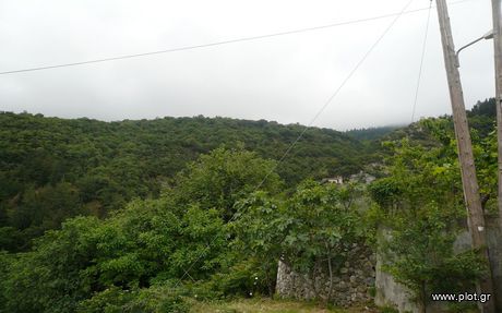 Land plot 785sqm for sale-Ipati » Argirochori