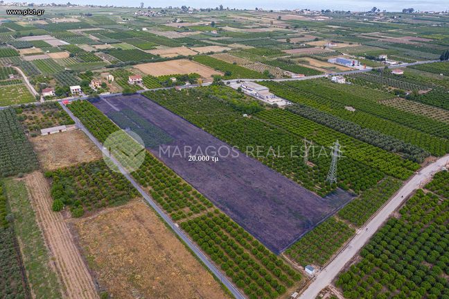 Οικόπεδο 20.000 τ.μ. για πώληση, Αργολίδα, Λέρνα