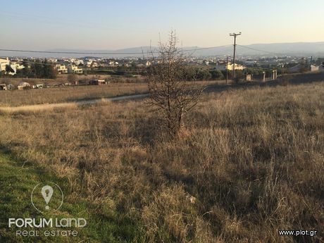 Αγροτεμάχια 2.100τ.μ. για πώληση-Πανόραμα » Κέντρο