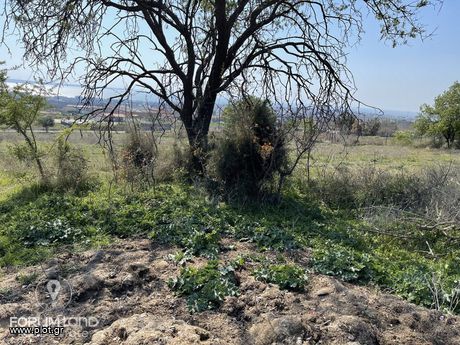 Αγροτεμάχια 4.200τ.μ. για πώληση-Πανόραμα » Οικισμός τοπογράφων