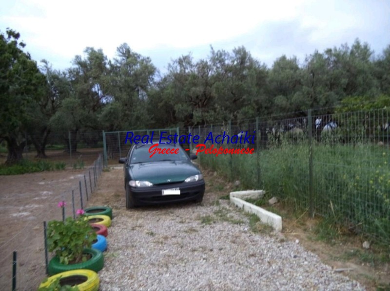 Αγροτεμάχια 593 τ.μ. προς πώληση, Διακοφτό