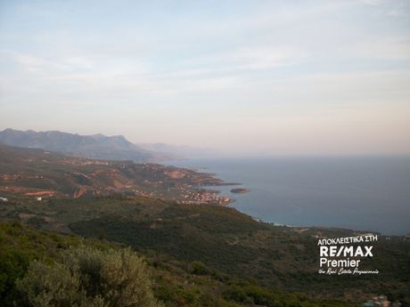 Οικόπεδο 8.091τ.μ. για πώληση-Λεύκτρος » Στούπα