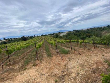 Parcel 16.000sqm for sale-Sikiona » Souli