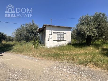 Αγροτεμάχια 10.640 τ.μ. για πώληση