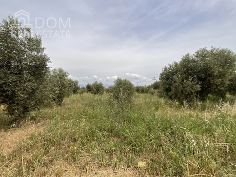 Αγροτεμάχια 5.180 τ.μ. για πώληση