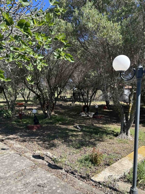 Αγροτεμάχια 960 τ.μ. πρός πώληση, Χαλκιδική, Καλλικράτεια