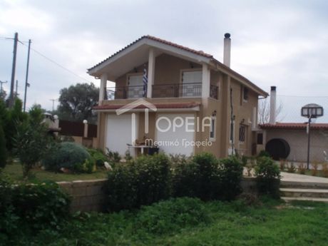 Detached home 155sqm for rent-Koropi » Agia Marina