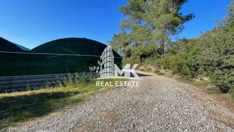 Επιχείρηση 10.000 τ.μ. πρός πώληση, Δωδεκάνησα, Ρόδος