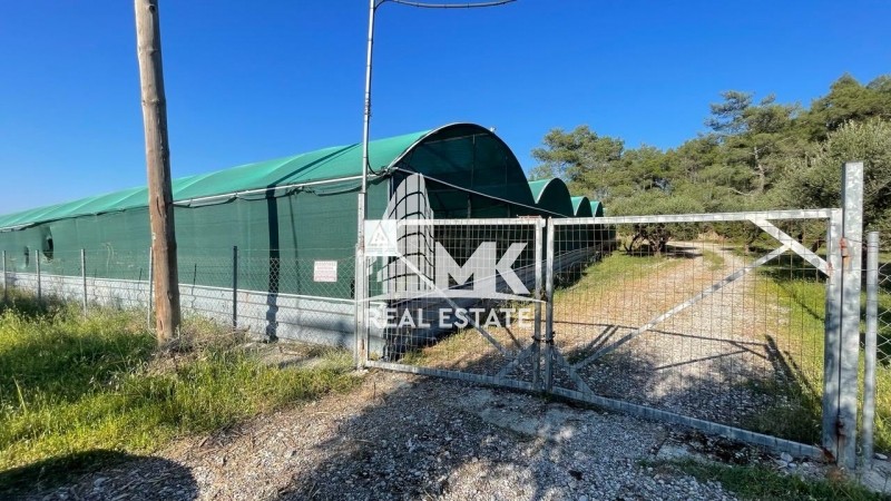 Επιχείρηση 10.000 τ.μ. πρός πώληση, Δωδεκάνησα, Ρόδος