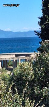 Land plot 350 sqm for sale