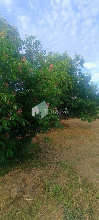 Οικόπεδο 405 τ.μ. προς πώληση, Δεμένικα