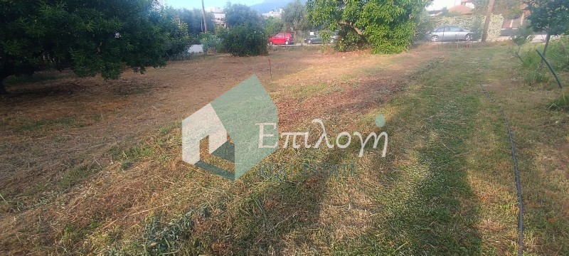 Οικόπεδο 405 τ.μ. προς πώληση, Δεμένικα
