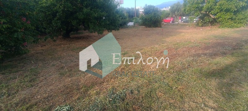 Οικόπεδο 405 τ.μ. προς πώληση, Δεμένικα
