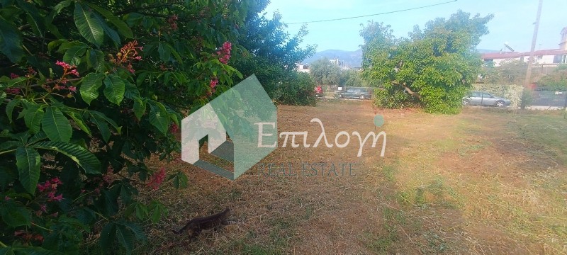 Οικόπεδο 405 τ.μ. προς πώληση, Δεμένικα