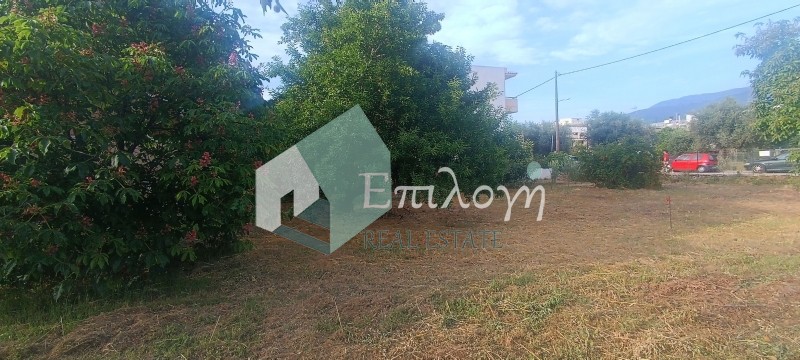 Οικόπεδο 405 τ.μ. προς πώληση, Δεμένικα