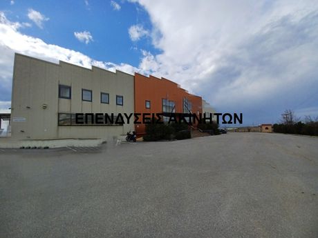 Business bulding 3.800sqm for sale-Echedoros » Sindos