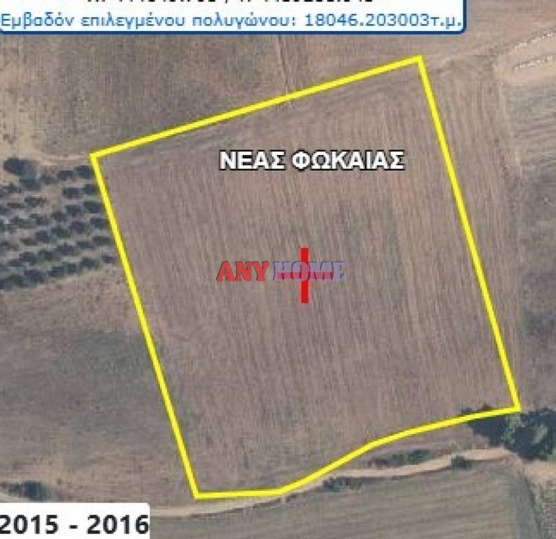 Αγροτεμάχια 19.000 τ.μ. προς πώληση, Φυλακές Κασσάνδρας