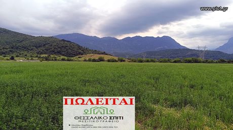 Αγροτεμάχια 7.500τ.μ. για πώληση-Γόμφοι » Παλαιομονάστηρο