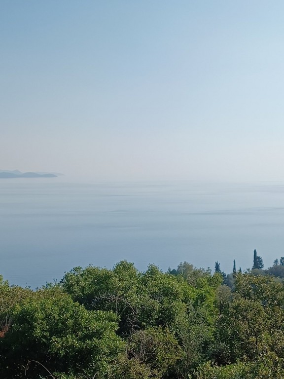 Αγροτεμάχια 4.000 τ.μ. προς πώληση, Μοναστηράκι Ευπαλίου