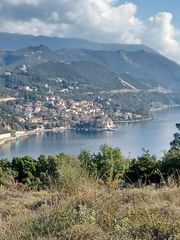 Αγροτεμάχια 4.000 τ.μ. για πώληση