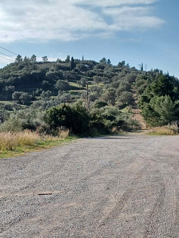 Αγροτεμάχια 4.000 τ.μ. προς πώληση, Μοναστηράκι Ευπαλίου
