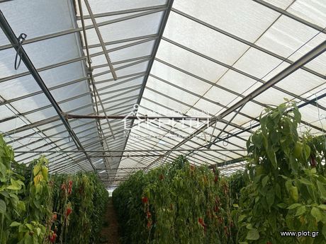 Other 4.000sqm for sale-Ierapetra » Stomio