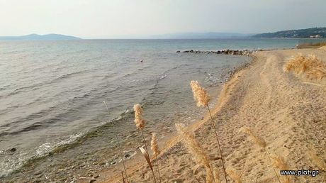 Αγροτεμάχια 4.700τ.μ. για πώληση-Σταγείρων - ακάνθου » Ουρανούπολη