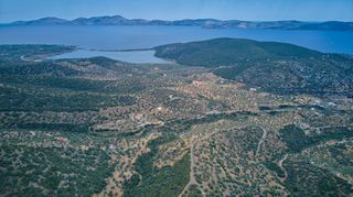 Αγροτεμάχια 4.040 τ.μ. προς πώληση, Αχλαδίτσα-thumb-12