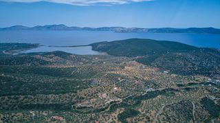 Αγροτεμάχια 4.040 τ.μ. προς πώληση, Αχλαδίτσα-thumb-6